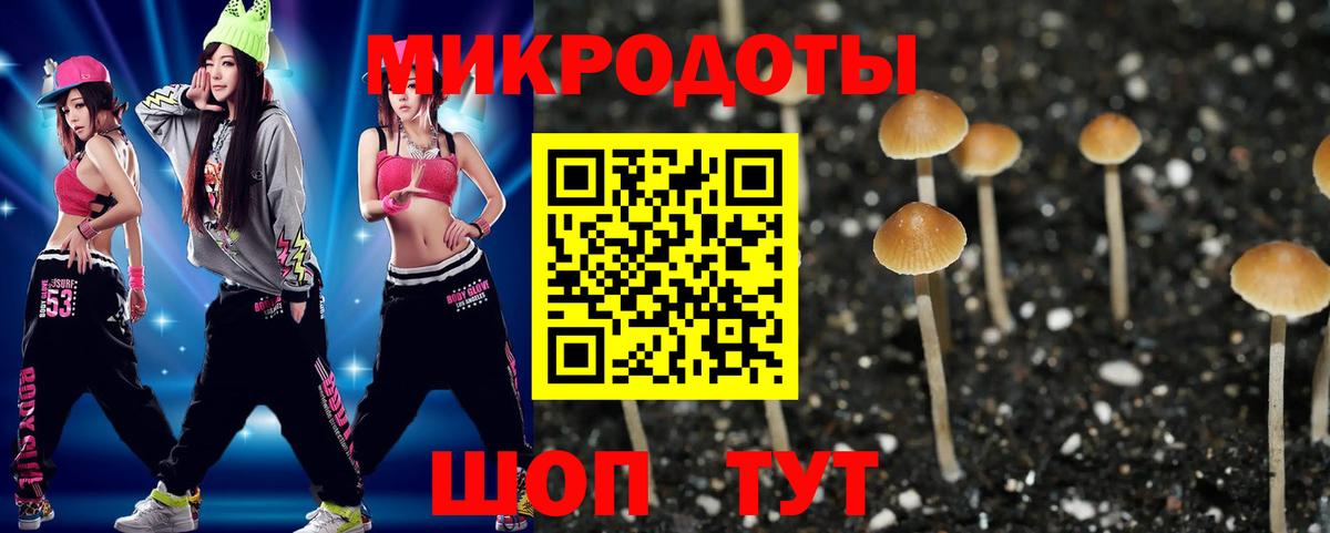 Тула  Галлюциногенные грибы Cubensis  закладка  Вход с VPN 